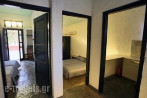 St George'Studios & Apartments_holidays_in_Apartment_Cyclades Islands_Andros_Andros City