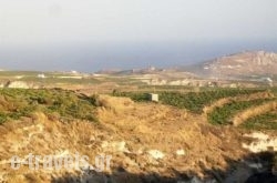 Zorbas_s __1