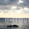 Youth Hostel Plakias_lowest prices_in_Room_Crete_Rethymnon_Plakias
