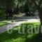 Villa Riza_lowest prices_in_Villa_Epirus_Preveza_Kamarina