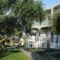 Villa Riza_travel_packages_in_Epirus_Preveza_Kamarina