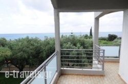 Villa Riza_s __1