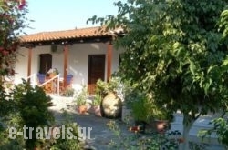 Irini Studios_s __1