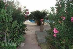 Anthemis Apartments_accommodation_in_Apartment_Crete_Chania_Akrotiri
