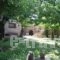 Fokaeon Farm_best prices_in_Hotel_Peloponesse_Achaia_Kalavryta