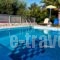 Elena-Pelagia Villas_best deals_Villa_Crete_Rethymnon_Rethymnon City