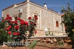 Viola Suites_s __1