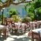 Julia Apartments_best deals_Apartment_Crete_Rethymnon_Rethymnon City