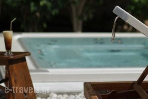 Mare Monte Luxury Suites_best prices_in_Hotel_Piraeus Islands - Trizonia_Spetses_Spetses Chora