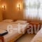 Studio Xanthi_holidays_in_Hotel_Aegean Islands_Thassos_Thassos Chora