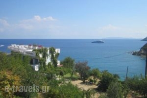 Diana Apartments_lowest prices_in_Apartment_Crete_Heraklion_Aghia Pelagia