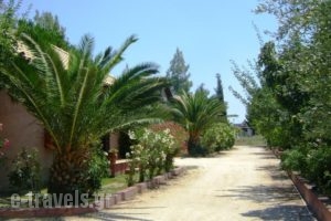 Therianos Traditional Villas_travel_packages_in_Ionian Islands_Zakinthos_Zakinthos Rest Areas