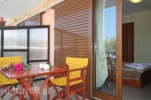 Studios Alexandros_best prices_in_Hotel_Macedonia_Halkidiki_Toroni