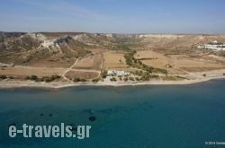 Olympia Mare_s __1