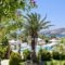 Dionysos Seaside Resort_accommodation_in_Hotel_Cyclades Islands_Ios_Ios Chora
