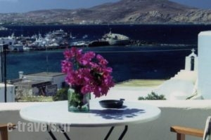 Despina's Rooms And Apartments_travel_packages_in_Cyclades Islands_Paros_Naousa