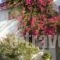Despina's Rooms And Apartments_best deals_Room_Cyclades Islands_Paros_Naousa