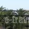 Matthias Hotel Apartments_lowest prices_in_Apartment_Crete_Chania_Sfakia