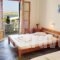Franciscos_holidays_in_Hotel_Cyclades Islands_Paros_Paros Chora