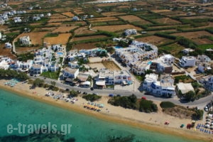 Antonina Apartments_best deals_Apartment_Cyclades Islands_Naxos_Agia Anna