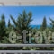 Idilli Villas Lefkada_holidays_in_Villa_Ionian Islands_Lefkada_Lefkada Chora