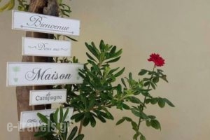 Effi_accommodation_in_Apartment_Crete_Chania_Platanias