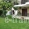 Evristhenis House_best prices_in_Room_Macedonia_Halkidiki_Toroni
