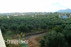 Portokali Apartments in Chersonisos, Heraklion, Crete