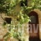 Ianthe_best prices_in_Hotel_Aegean Islands_Chios_Chios Rest Areas