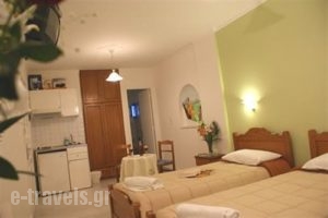 Mikes Studios_holidays_in_Apartment_Cyclades Islands_Naxos_Naxos Chora
