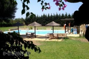 Villa-Georgina_best deals_Villa_Peloponesse_Ilia_Pyrgos