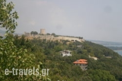 Artemis_s __1
