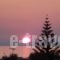 Amaril Apartments_best deals_Apartment_Crete_Rethymnon_Rethymnon City