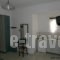 Villa Dora Studios 2_best prices_in_Villa_Cyclades Islands_Andros_Batsi