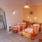 John's Studios_best deals_Apartment_Cyclades Islands_Paros_Paros Chora