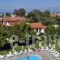 Tzilios Studios_lowest prices_in_Apartment_Ionian Islands_Corfu_Acharavi