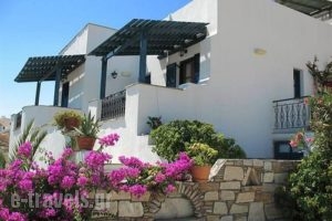 Naxos Filoxenia_lowest prices_in_Apartment_Ionian Islands_Kefalonia_Aghia Efimia