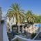 Kastro Studios & Apartments_holidays_in_Apartment_Piraeus Islands - Trizonia_Spetses_Spetses Chora
