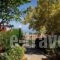 Ida Village I & II_lowest prices_in_Hotel_Crete_Heraklion_Chersonisos