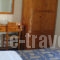 Hippocampus_travel_packages_in_Piraeus Islands - Trizonia_Aigina_Perdika