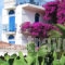 Hippocampus_holidays_in_Hotel_Piraeus Islands - Trizonia_Aigina_Perdika