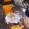 Hippocampus_best deals_Hotel_Piraeus Islands - Trizonia_Aigina_Perdika