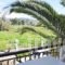 Digenis Studios_best deals_Apartment_Ionian Islands_Lefkada_Lefkada Rest Areas