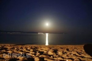 Oassis Studios_lowest prices_in_Apartment_Cyclades Islands_Paros_Piso Livadi