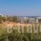 Oassis Studios_best deals_Apartment_Cyclades Islands_Paros_Piso Livadi