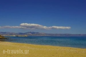 Oassis Studios_best prices_in_Apartment_Cyclades Islands_Paros_Piso Livadi