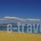 Oassis Studios_best prices_in_Apartment_Cyclades Islands_Paros_Piso Livadi