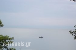 Kleanthis Blue_s __1