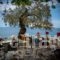 Arriba_lowest prices_in_Apartment_Thessaly_Magnesia_Afissos