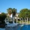 Apartments Seagull_lowest prices_in_Apartment_Dodekanessos Islands_Kos_Kos Chora